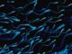 Smoking Marijuana Linked to Better Sperm Counts in Surprising Study