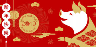 Chinese horoscope 2019 forecast: Year of the Pig
