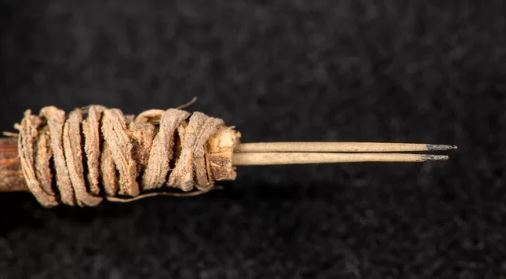 tattoo thorns tattoo thorns