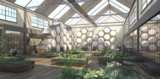 Human Composting May Soon Be Legal in Washington State