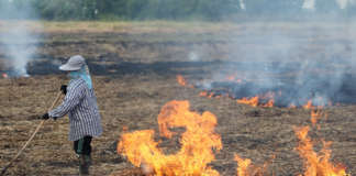 The burning truth in Thailand? There’s no excuse for haze