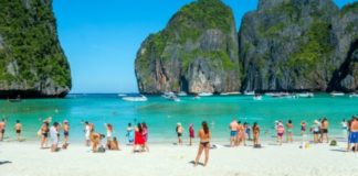 Maya Bay, Thailand: How scientists are gluing the coral back to life