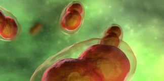 Smallpox: The World’s First Eradicated Disease