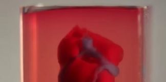 How Scientists 3D Printed a Tiny Heart from Human Cells