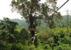 Canadian tourist, 25, falls 150 feet to his death from zip wire in Thailand after harness snaps even though he was under recommended weight limit