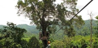 Canadian tourist, 25, falls 150 feet to his death from zip wire in Thailand after harness snaps even though he was under recommended weight limit