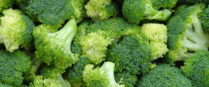 broccoli cANCER