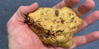 Australian finds A$100,000 gold nugget using metal detector