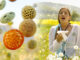 Myths and Truths about Hay Fever
