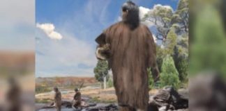 Oldest Human Footprint in Americas May Be This 15,600-Year-Old Mark in Chile