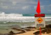 Swimmer dies after shark attack in Hawaii
