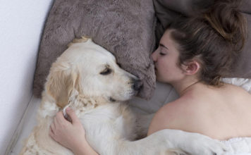For women, sleeping next to a dog would be more beneficial than with a human being
