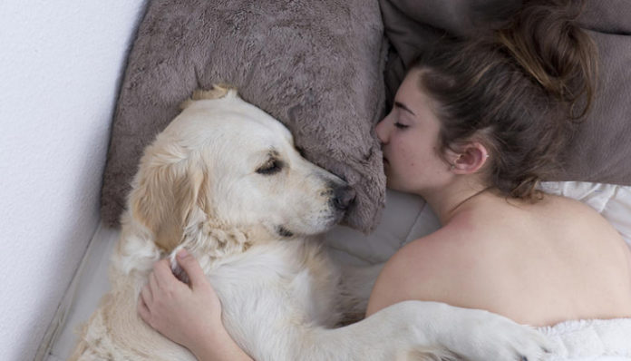sleeping with a dog sleeping with a dog