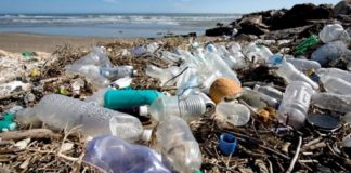 Thailand to ban three kinds of plastic by end of 2019