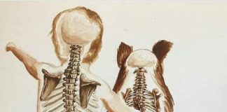 WHY DOGS LIVE LESS THAN HUMANS