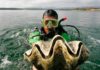 South Korean actress charged in Thailand for catching giant clams
