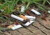 Cigarette butts in soil hamper plant growth, study suggests