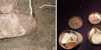 Couple finds rusty can with $ 10 million in gold coins