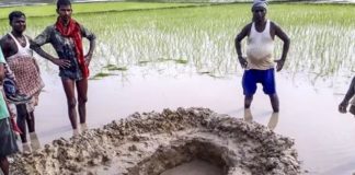 Football-Size Meteorite May Have Landed in an Indian Rice Field