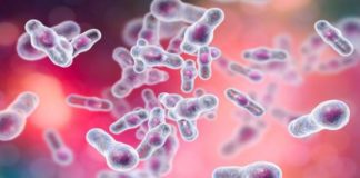 Sugary Western Diets Fuel Newly Evolving Superbug