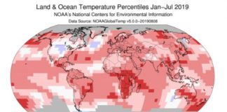 July Was the Hottest Month Ever Recorded on Earth