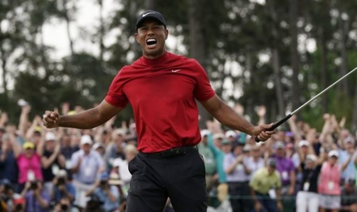 tiger woods