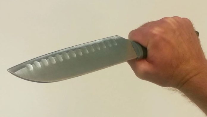 20cm kitchen-knife