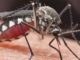 People v mosquitos: what to do about our biggest killer