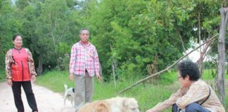 Lost dog in Thailand finally reunites with owner after waiting 4 years by the road side