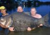 British Fisherman Reels in World’s Largest Carp in Mae Klong River in Thailand