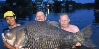 British Fisherman Reels in World’s Largest Carp in Mae Klong River in Thailand