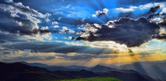 TV naturalist David Bellamy dies aged 86