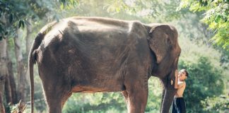 Getting Thailand’s travel and tourism industry back on it’s feet