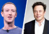 Musk and Zuckerberg in cage fight Musk and Zuckerberg in cage fight
