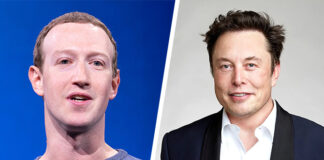 Musk and Zuckerberg in cage fight