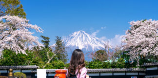 Asia Pacific Travel Boom: 2024 Trends Revealed