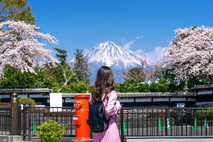 cherry-blossom-spring-fujinomiya-japan