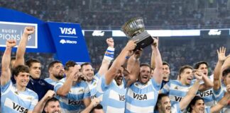 Argentina 29-28 South Africa: Pumas Keep Rugby Championship Dreams Alive