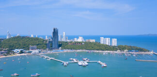 Jomtien and Dongtan Beaches in Pattaya Experience Jellyfish Surge; Officials Warn of Potential Skin Irritation Risks