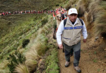 Major Efforts Underway to Plant ‘Cloud Trees’ in the Andes Major Efforts Underway to Plant ‘Cloud Trees’ in the Andes
