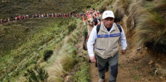 Major Efforts Underway to Plant ‘Cloud Trees’ in the Andes